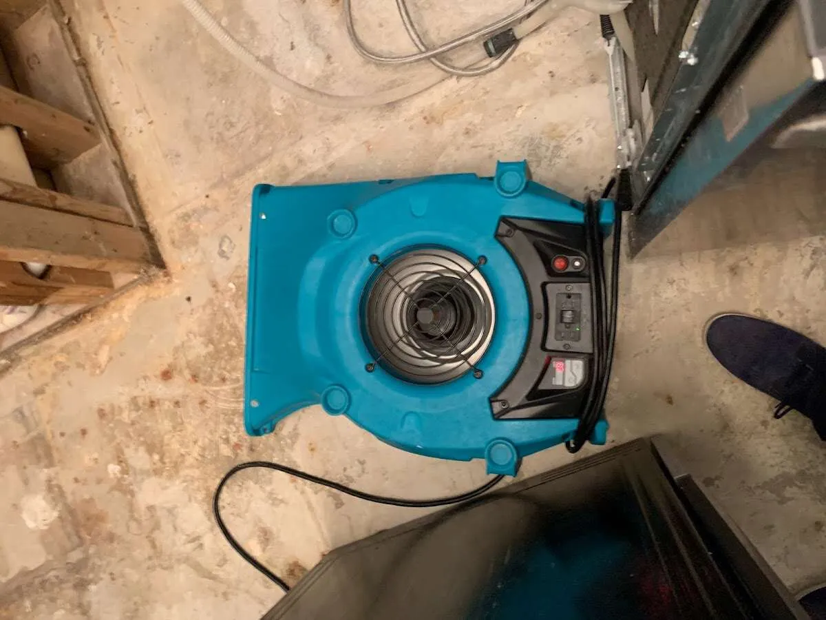 Air mover drying equipment for Mold Remediation & Removal in Gardner